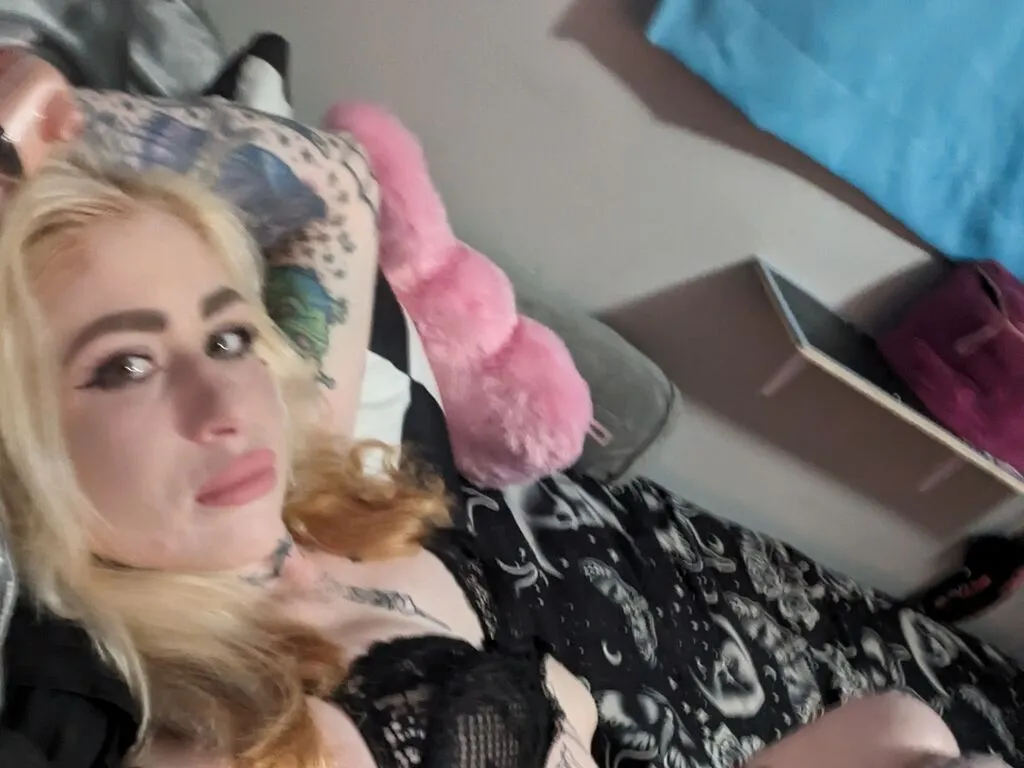 SkyPlatinum Photo 1 cam