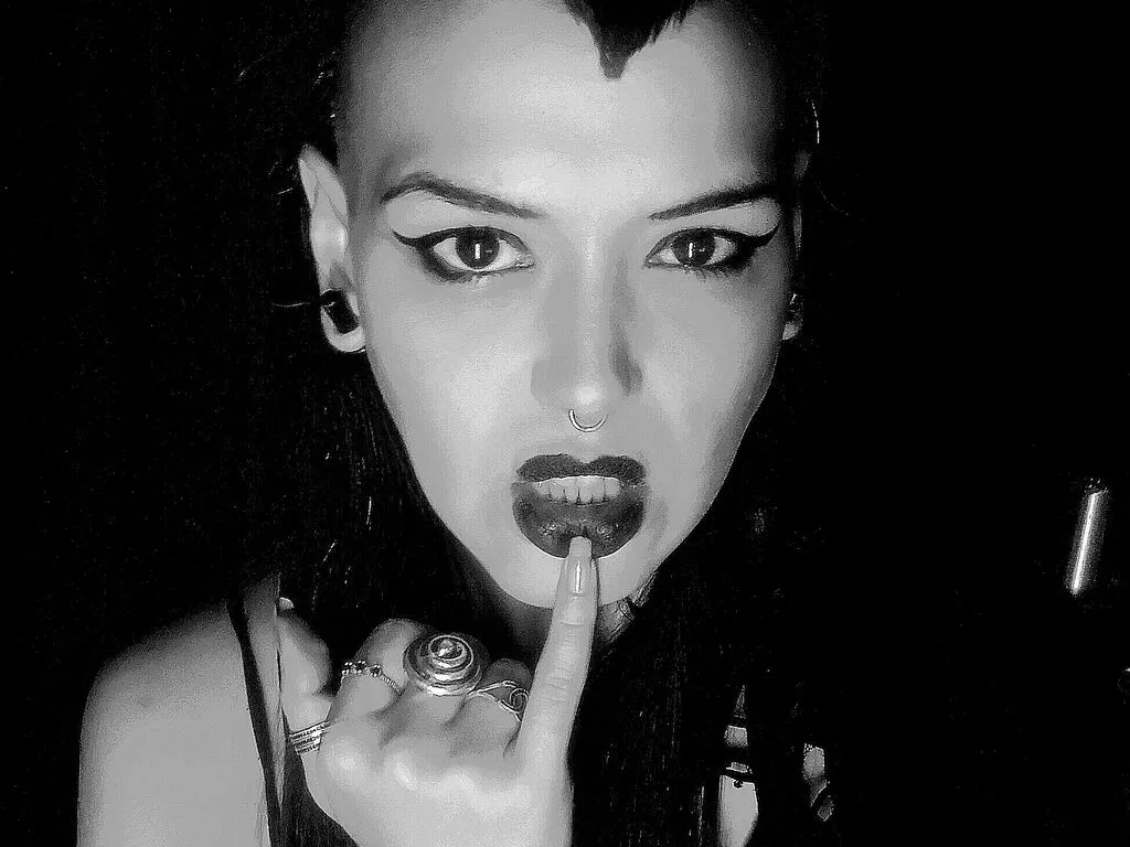 LeeLith Photo 2 cam
