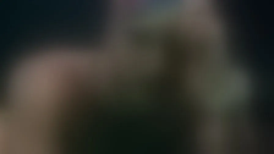 Chat with AdamRoxs