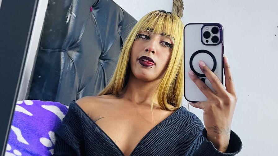 Chat with NicolForest