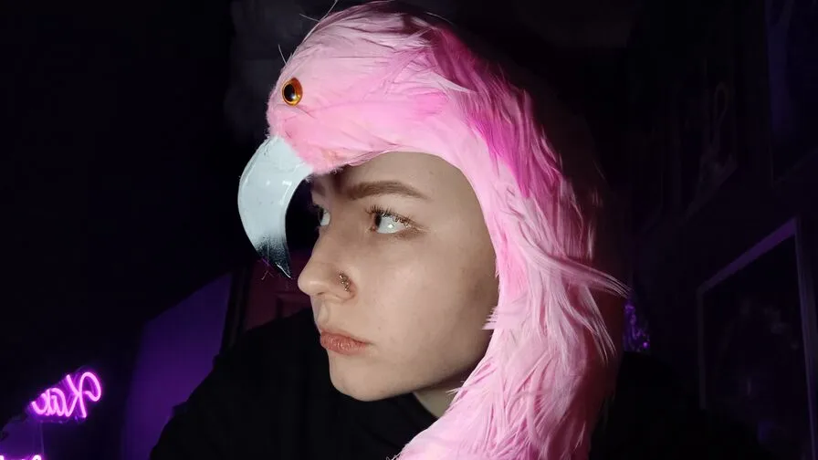 Chat with AlexJackson