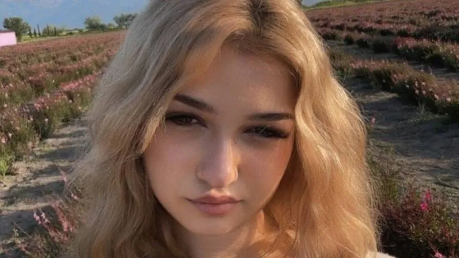 Chat with CloudyFox