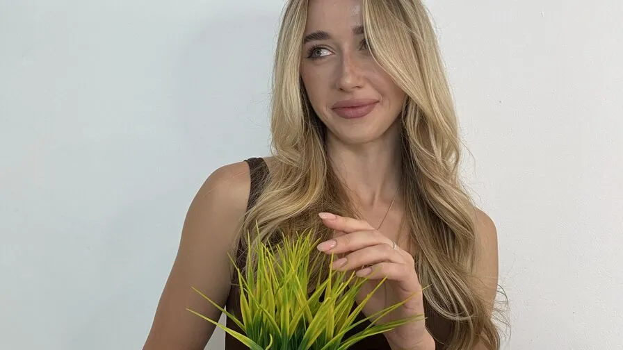 Chat with AliceJime