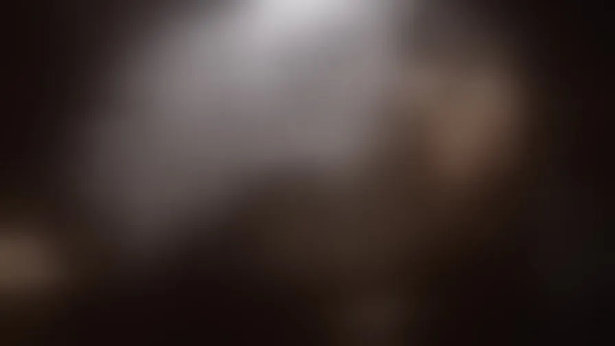 Chat with Ninelkai