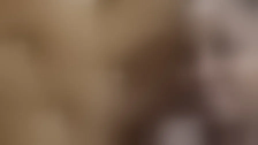 Chat with AnnyBricks
