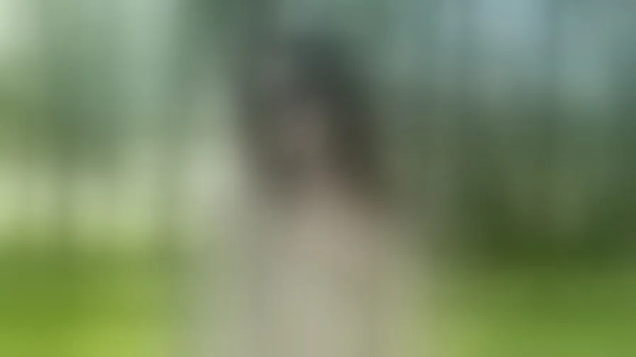 Chat with LikaDelic