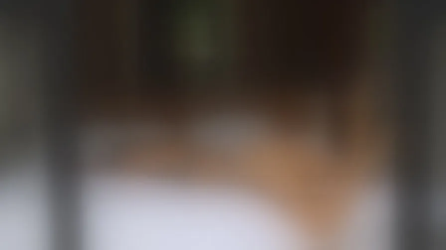Chat with AngelaHayes
