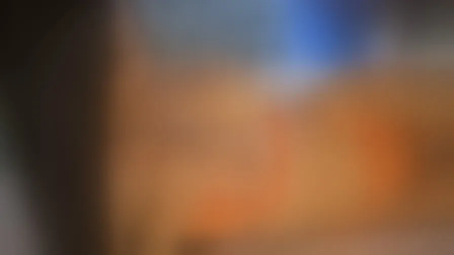 Chat with LexyNova